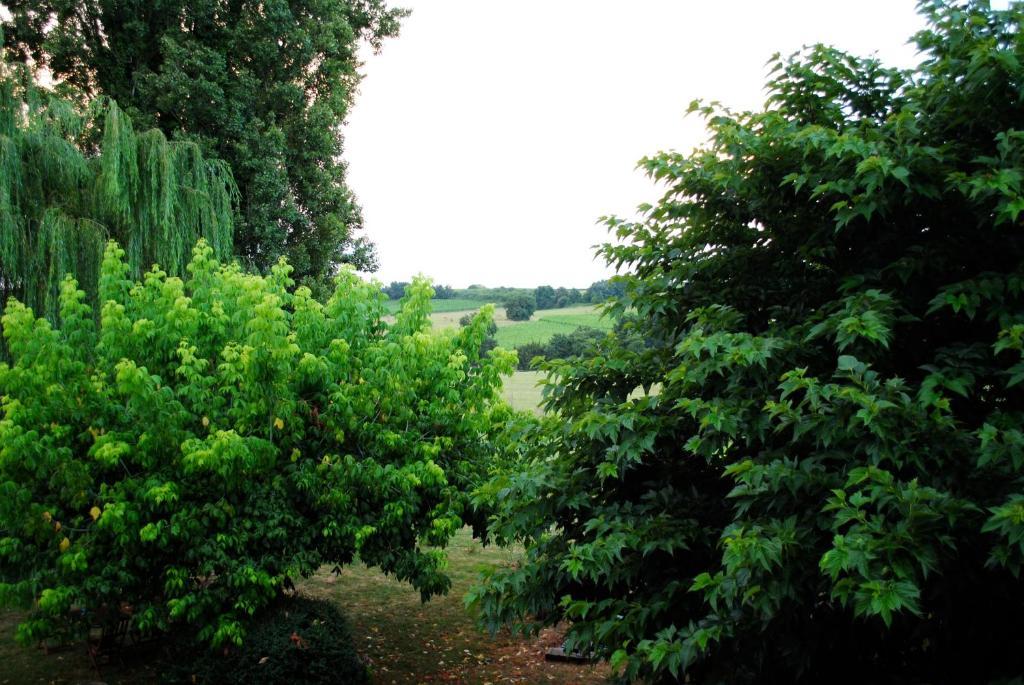Les Foucauds Hotel Saint-Quentin-de-Caplong Phòng bức ảnh